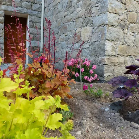 Bed and Breakfast Zella Bains de Guitera