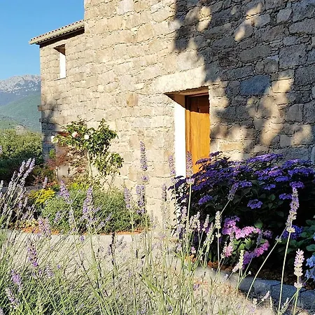 Zella Bed and Breakfast