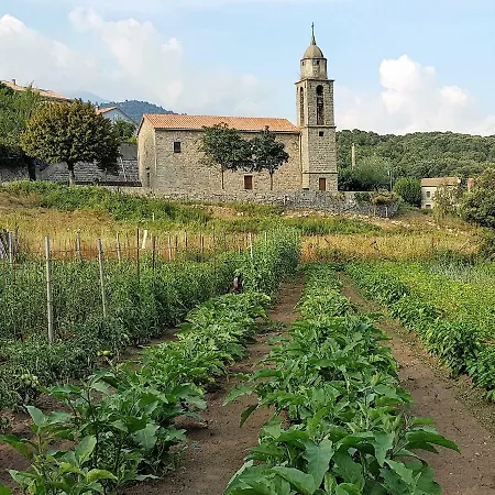 Zella Bed and Breakfast