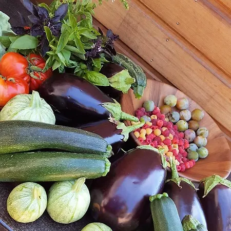 Bed and Breakfast Zella 3*