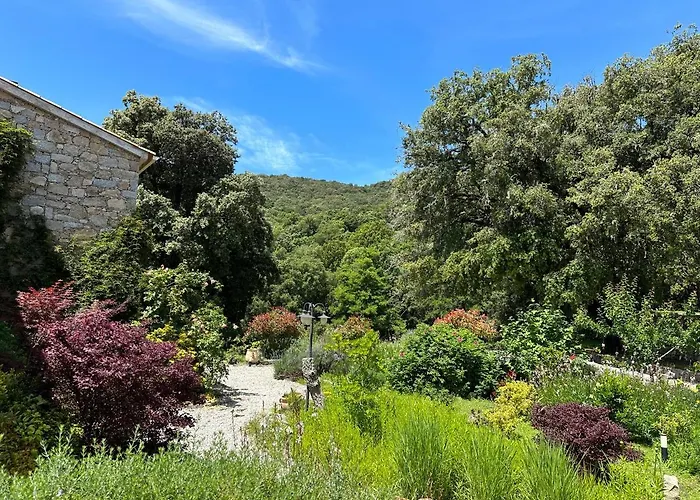 Zella 3* Bains de Guitera