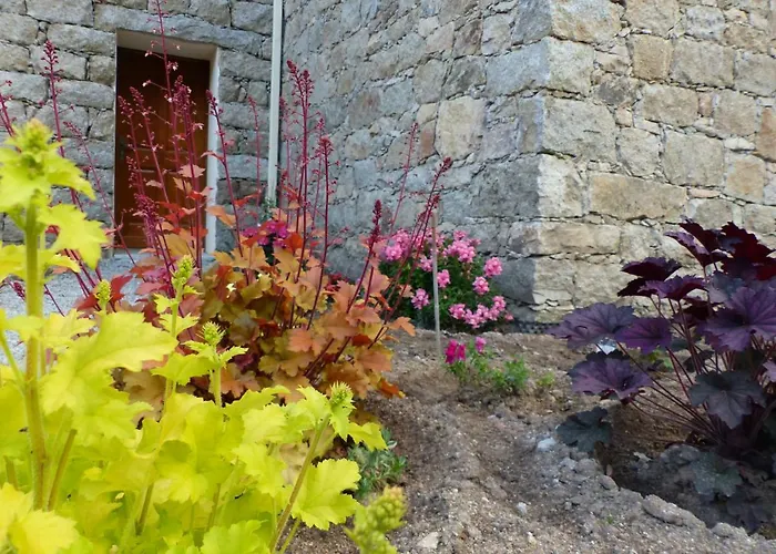 Nocleg ze śniadaniem Zella Bains de Guitera