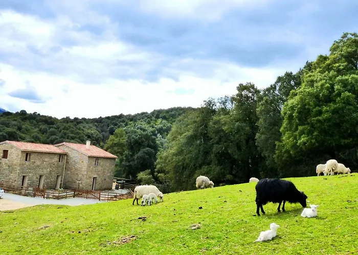 Zella 3* Bains de Guitera