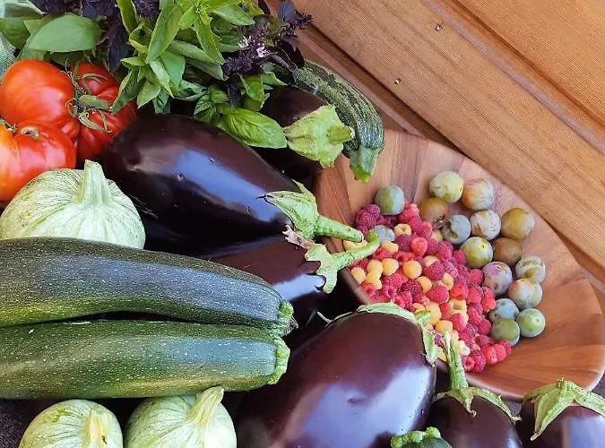 Couette-café Zella 3*